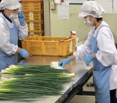【食品梱包・加工スタッフ】三重支社(製造部)