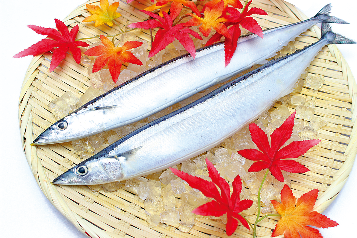 秋の味覚さんまについて ショクブン通信 食材宅配サービス ショクブン