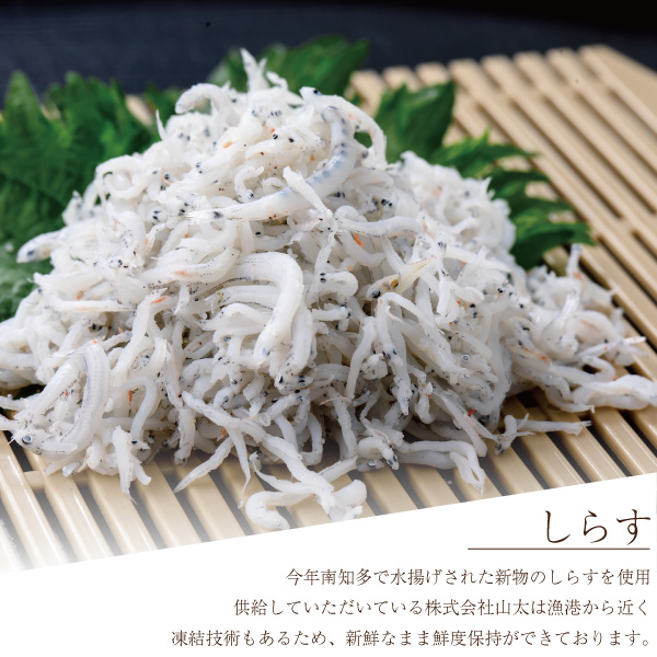 【しらすパスタ】南知多町ふるさと納税返礼品　受付開始！